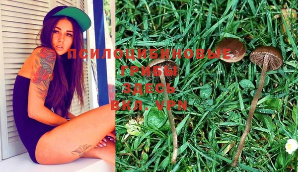 метадон Лабытнанги