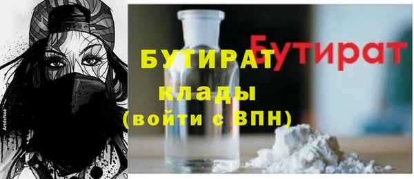 индика Кулебаки