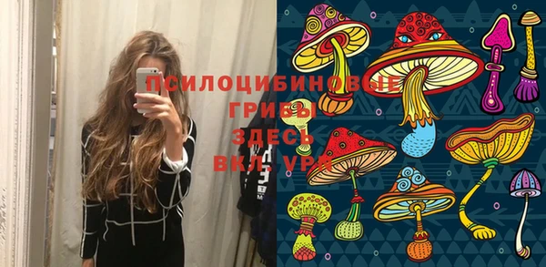 индика Кулебаки