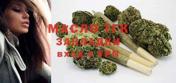 индика Кулебаки