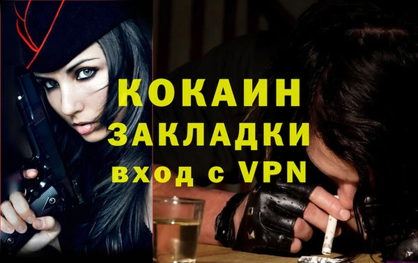 индика Кулебаки
