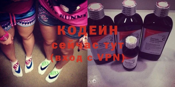 индика Кулебаки