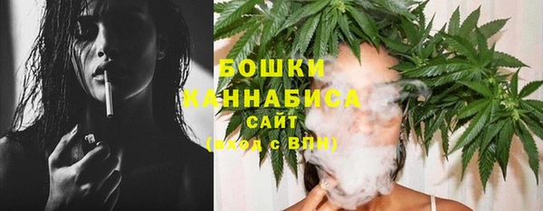индика Кулебаки