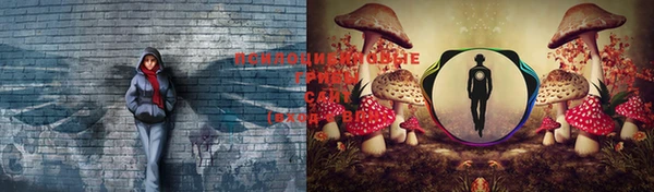 apvp Куйбышев