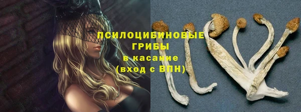индика Кулебаки