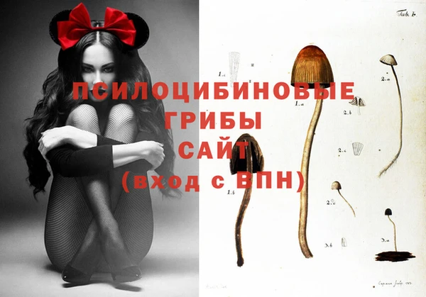 спайс Ладушкин