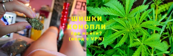спайс Ладушкин