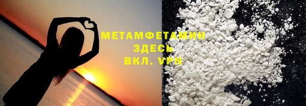 индика Кулебаки