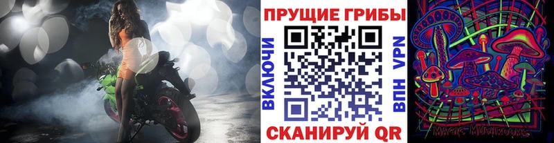 Псилоцибиновые грибы Psilocybine cubensis Батайск