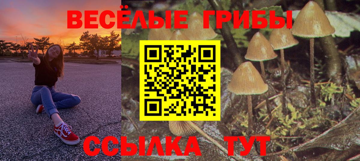 купить наркотики цена  Батайск  Галлюциногенные грибы Cubensis 