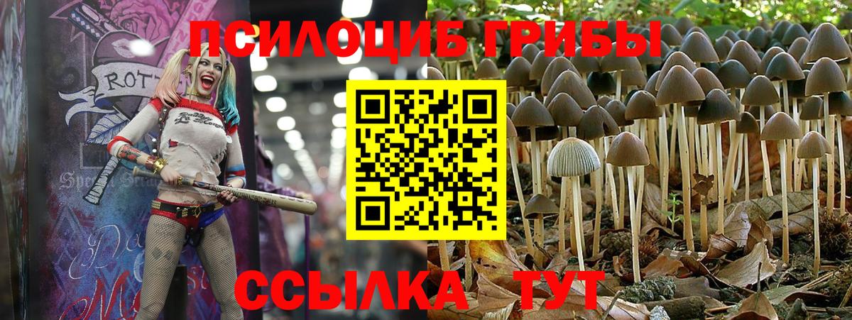 Батайск  Псилоцибиновые грибы мицелий  Вход с VPN 
