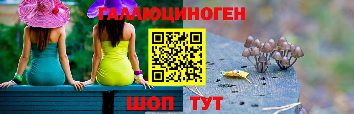 Псилоцибиновые грибы прущие грибы Батайск